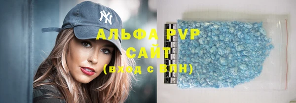 PSILOCYBIN Инсар