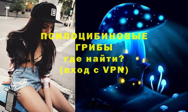 таблы Инта