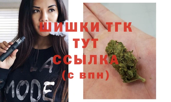 PSILOCYBIN Инсар