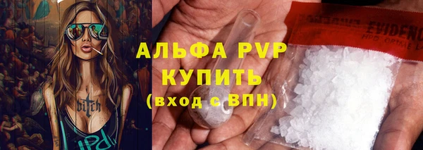 PSILOCYBIN Инсар
